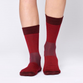 Everyday Merino Socks - Cranberry Red